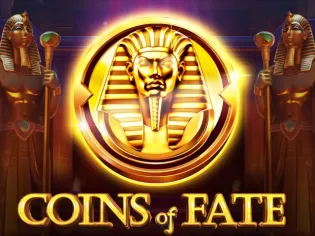 Coins of Fate screenshot